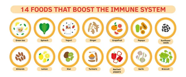 Human Health Immune System Boosters - vector illustratie, cartoon doodle hand getekend platte stijl. Granaatappel, watermeloen, pijnappel, papaja, citroen, gember, kurkuma, broccoli, chichen soep, spinazie. — Stockvector