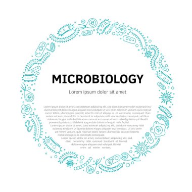 Bakteriyel mikroorganizma şablonu. Bakteriler ve mikroplar renkli set, mikro organizmalar hastalığa neden olan nesneler, hücre kanseri, bakteriler, virüsler, mantarlar, protozolar. Vektör düz çizgi film çizim ikonu