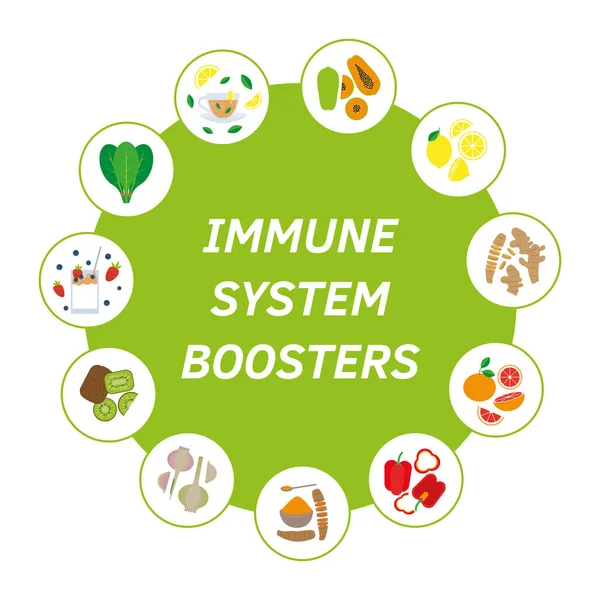 Human Health Immune System Boosters - διανυσματική απεικόνιση, κινούμενο σχέδιο με το χέρι επίπεδη στυλ. Ρόδι, καρπούζι, πεύκο-μήλο, παπάγια, λεμόνι, τζίντζερ, κουρκουμά, μπρόκολο, chichen σούπα, σπανάκι. — Διανυσματικό Αρχείο