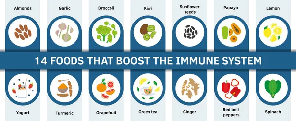 Human Health Immune System Boosters - vector illustration, cartoon doodle hand drawn flat style. Pomegranate, water-melon, pine-apple, papaya, lemon, ginger, turmeric, broccoli, chichen soup, spinach.