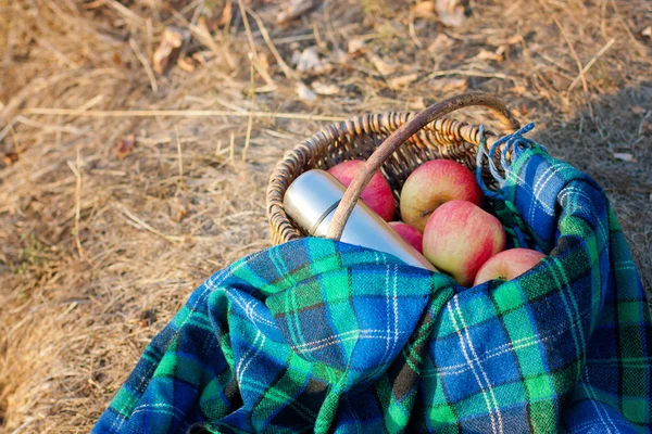 Sepet elma ekose ve sonbahar piknik için dışarıda termos