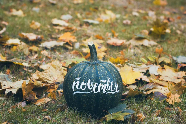 Kaligrafi kelime sonbaharda yere yeşil kabak ayakta Kasımda bırakır