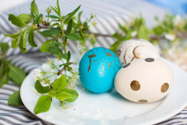 Huevos Pascua Plato Blanco Con Rama Flor —  Fotos de Stock