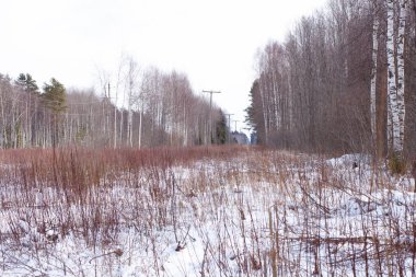 Kış ormanında elektrik hattı olan bir açıklık.