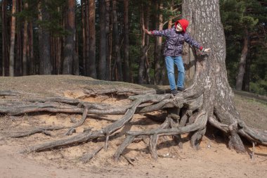 Neşeli çocuk ağaçların köklerinde tam gelişim gösteriyor.
