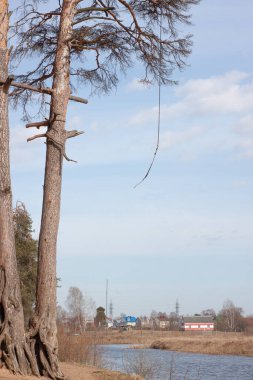 Nehir kıyısında halatla zincirli eski püskü bir bungee.