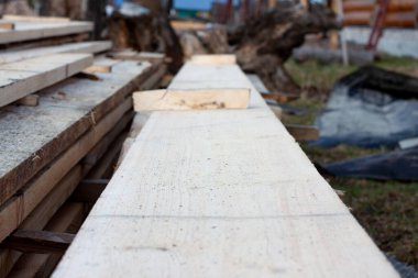 Yerde bir yığın taze çam kalası var.