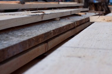 Yerde bir yığın taze çam kalası var.