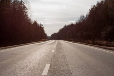 Baharın başı. Ormanda asfalt yol