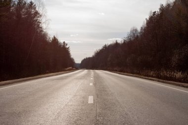 Baharın başı. Ormanda asfalt yol