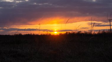 Batan bahar güneşinin ışınları tarlada.