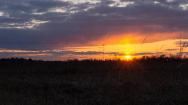 Batan bahar güneşinin ışınları tarlada.