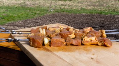 Baharatlı ve soğanlı domuz şişi şiş. Parçalanmış çiğ et