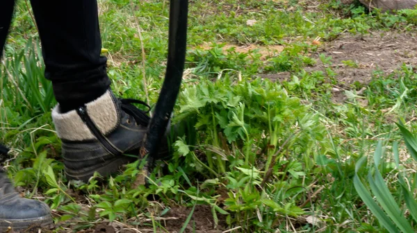 Work Garden Digging Shovel Beds Landings Kitchen Garden Village — Stock Photo, Image