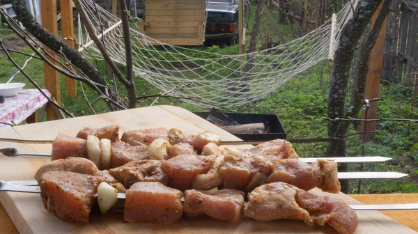 Espetos Porco Marinados Espetos Com Temperos Cebolas Carne Crua Pedaços — Fotografia de Stock