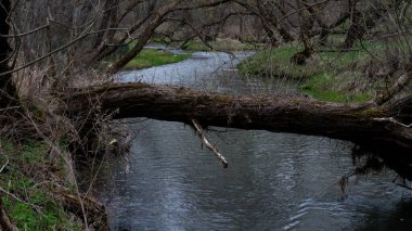 Nehirde bahar seli. Küçük hızlı nehirler..