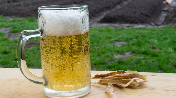啤酒杯 啤酒和干鱼放在木制盘子里 在性质上 — 图库照片