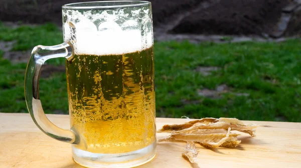 Пивний Кухоль Пивом Сушеною Рибою Дерев Яному Підносі Природі — стокове фото