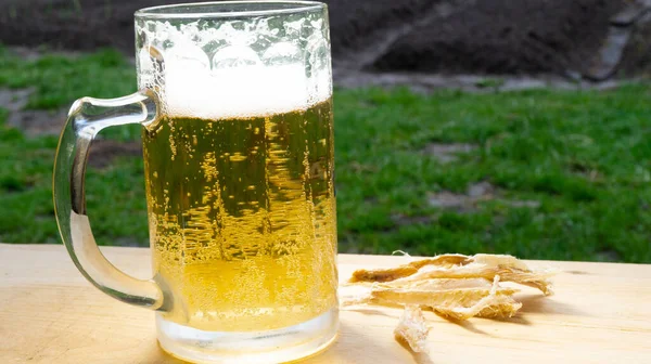 Caneca Cerveja Com Cerveja Peixe Seco Uma Bandeja Madeira Natureza — Fotografia de Stock