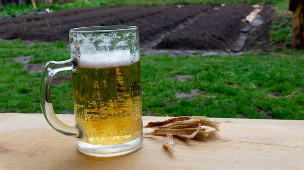 Caneca Cerveja Com Cerveja Peixe Seco Uma Bandeja Madeira Natureza — Fotografia de Stock