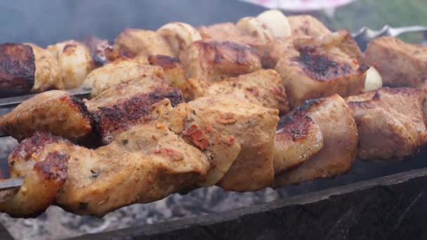 在烤架上煮猪肉串 绞架上的肉 — 图库视频影像