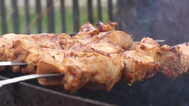 Cooking Pork Skewers Grill Meat Skewers — Stock Video