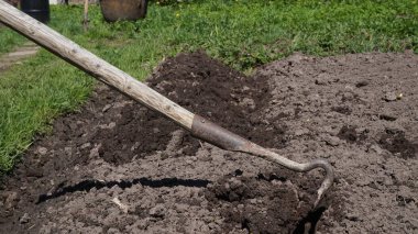 Bir bahçe dikiyorum. Çapayla yatak yapmak. Chernozem