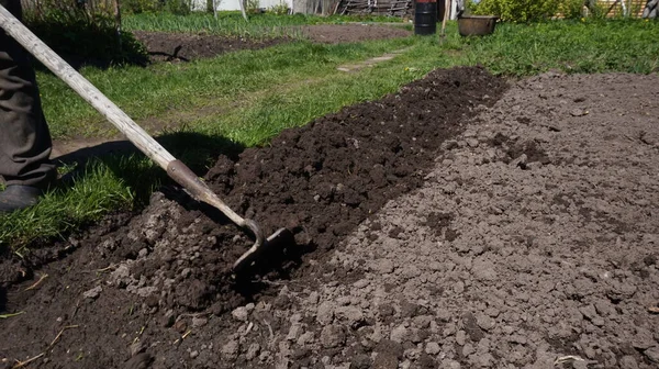 Menanam Kebun Membuat Tempat Tidur Dengan Cangkul Chernozem — Stok Foto