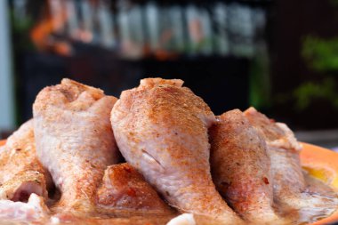 Baharatlı tavuğu marine ettim. Doğada yemek yapmak.