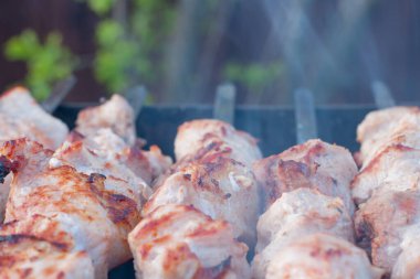 Izgarada domuz şişi pişirmek. Kabuklu et.