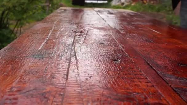 木の筆塗り 板への汚れの塗布は — ストック動画