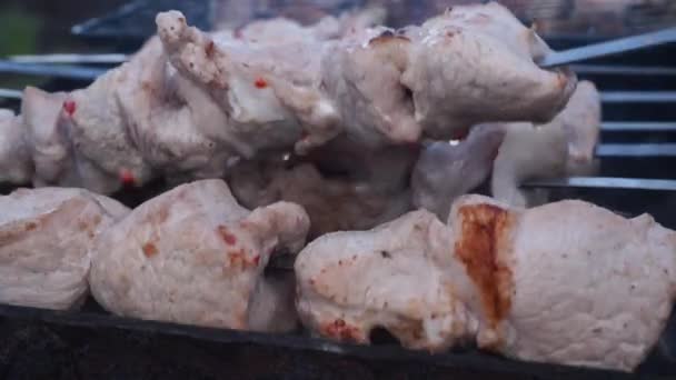 Cozinhar Espetos Porco Grelha Carne Com Uma Crosta — Vídeo de Stock