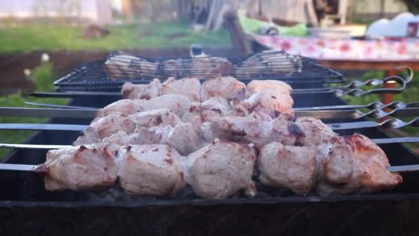 Cocinar Brochetas Cerdo Parrilla Carne Con Corteza — Vídeo de stock