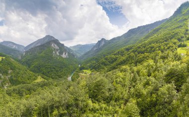 Ormanlar, dağlar ve gökyüzü.
