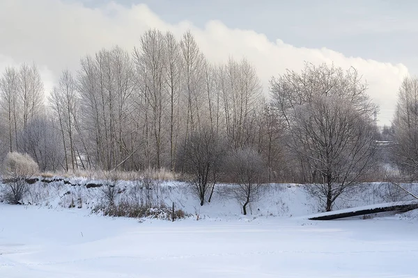 Eine wunderschöne Winterlandschaft. — Stockfoto