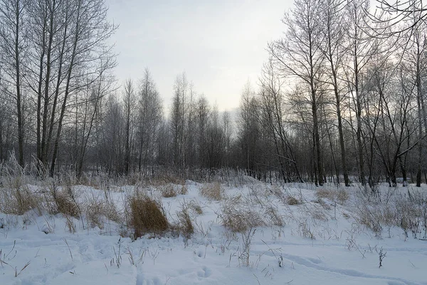 Прекрасный зимний пейзаж. — стоковое фото