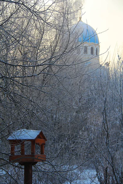 Die Bäume und die Kuppel der Kirche. — Stockfoto