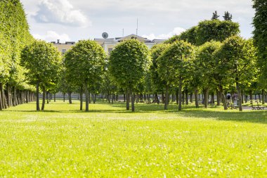 Yaz Park ağaçlarda.