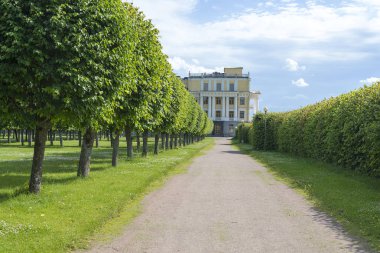 Ağaçlar ve çalılar Moskova Park City.