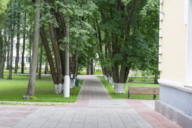 Patika boyunca ağaçlar building yakınındaki.