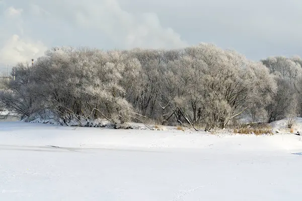 Красивые зимние пейзажи . — стоковое фото