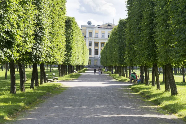 Silnice podél stromů v city parku v Moskvě. — Stock fotografie