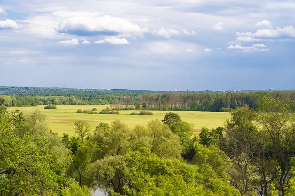 Utsikt över fält och skog. — Stockfoto