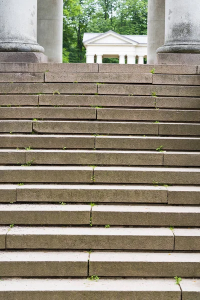 Gözlem güverte kadar adımları.