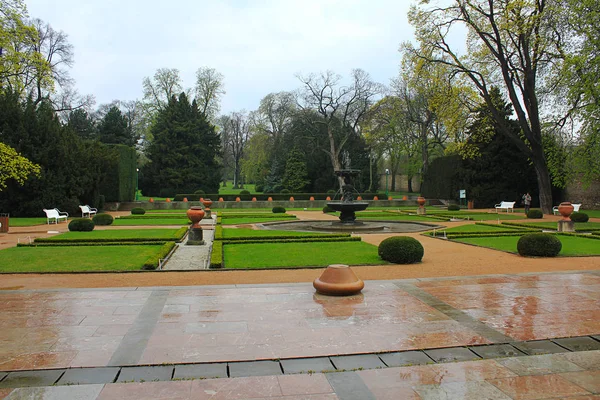 Regn i parken. — Stockfoto