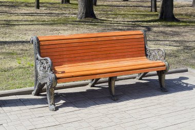 Parkta yalnız bir bank..