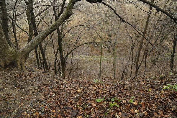  Ağaçların eğimi.