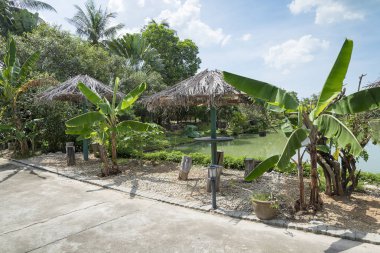 Parktaki gölgelik..