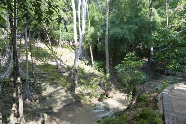 Le ruisseau dans le parc . — Photo