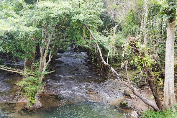 Un petit lac dans le parc Thaïlande . — Photo